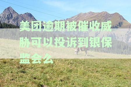 美团钱包逾期暴力催收，如何有效投诉？