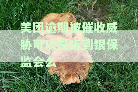 美团逾期被催收威胁可以投诉到银保监会么