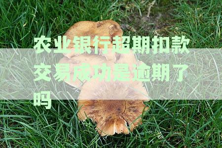 农业银行处理超期扣款逾期账户的最新资讯与技巧