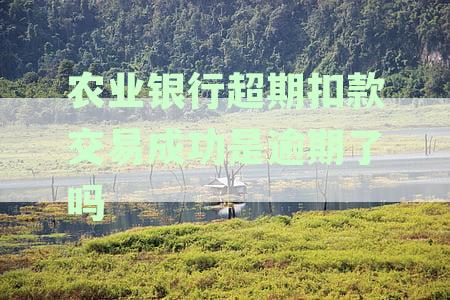 农业银行超期扣款交易成功是逾期了吗