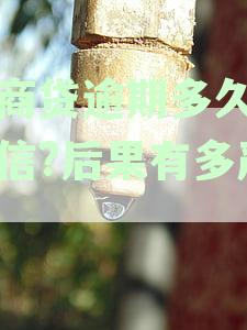 网商贷逾期还款触发时间与全额还款要求详解，用户必备知识