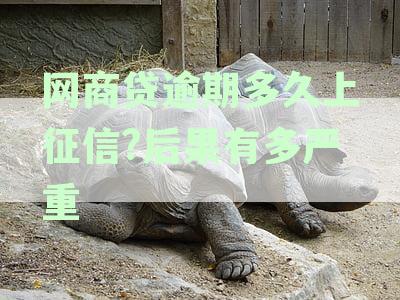 网商贷逾期多久上征信?后果有多严重