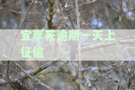 逾期一天还款是否会影响征信科普：宜享花的上征信情况分析
