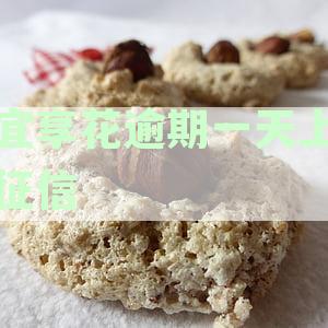 逾期一天上征信后怎么办？宜享花解决方案全面解析