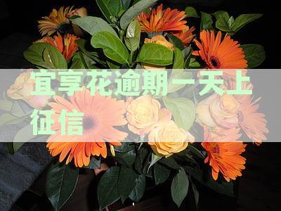 宜享花逾期1天上征信：论坛讨论逾期两天的影响
