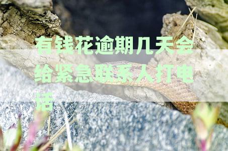 逾期未还款多久会通知紧急联系人？这里有解答！