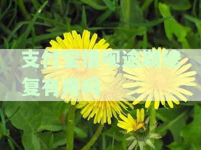 支付宝借呗逾期后的信用修复与还款处理：恢复征信的关键步骤