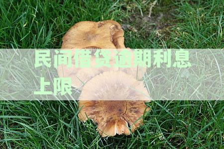 民间借贷逾期利息计算方法及影响因素全方位解析