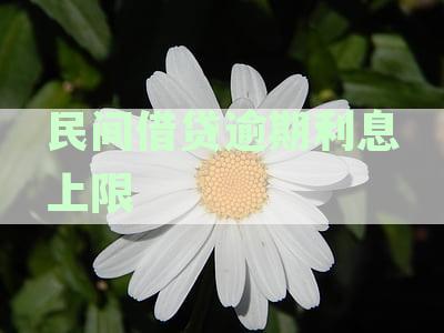 民间借贷逾期利息上限