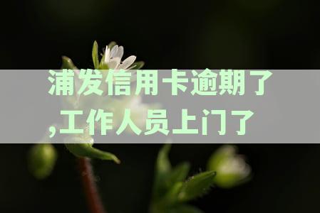 浦发逾期了3个月多,打电话说要上门是真的会上门吗-浦发银行逾期多久 需要给联系人打电话