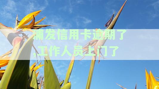 浦发信用卡逾期了,工作人员上门了