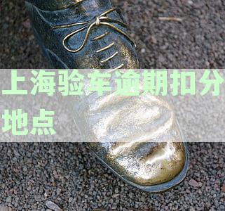 上海验车逾期扣分地点查询全攻略：如何快速找到相关信息并避免不必要的罚款