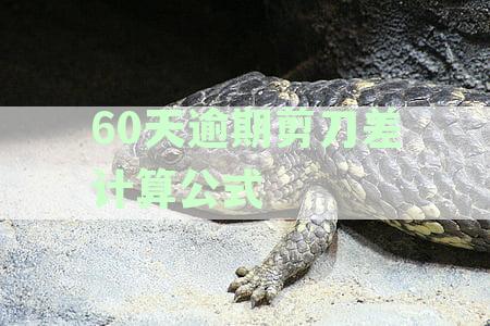 60天逾期剪刀差计算公式