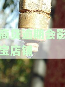 网商贷逾期对网店影响：淘宝店主会受到影响，可能导致流量下降和征信受损。