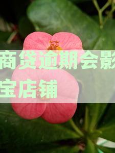 网商贷逾期会影响淘宝店铺