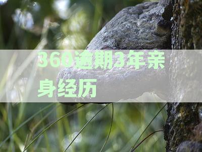 360逾期了怎么办第一时间要做的是这件事！真的吗？
