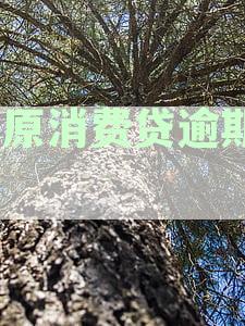 中原消费贷逾期3年怎么办是您想要的标题。如果您需要更多信息，请告诉我。