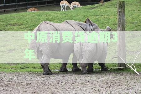中原消费贷款7万逾期，可能的原因、解决办法及影响全解析