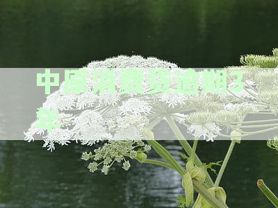 中原消费贷逾期起诉：案例、流程与费用全解析