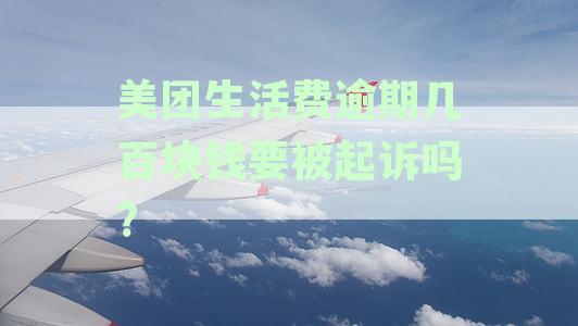 美团生活费逾期5000元：可能面临的处理后果与解决方案