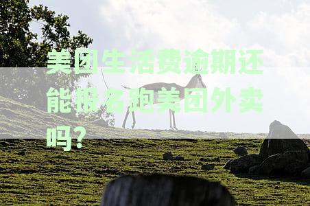 美团生活费逾期还能报名跑美团外卖吗?