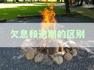 逾期贷款和欠息贷款：常见问题解答及处理策略