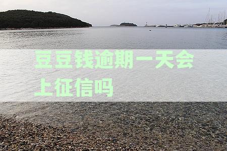 豆豆钱逾期一天后，是否可以与下一期一起还款？逾期还款的后果及解决办法