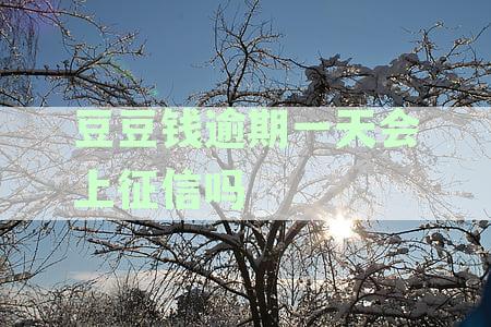 豆豆钱逾期第三天还款了，是否会影响个人征信记录？了解详细情况及解决方法