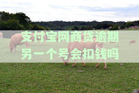 支付宝网商贷逾期后，其他账号是否会受到影响及安全性问题解答