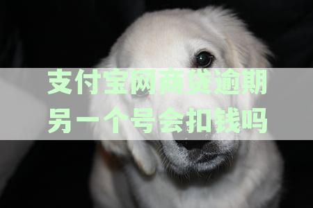 新网商贷逾期后款会从其他支付宝账户扣款吗？还有哪些支付方式会被影响？
