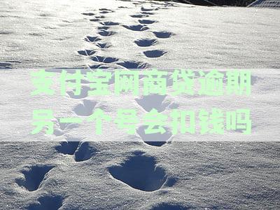 逾期后的支付宝网商贷还款后能否再次借款：完整操作指南