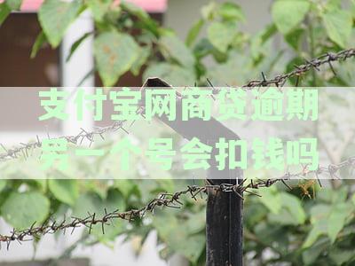 支付宝网商贷逾期：对个人信贷的潜在影响与应对策略