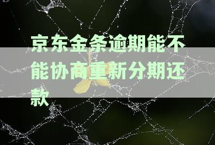 京东金条逾期协商还本金可行吗？