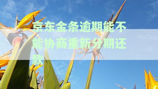 京东金条逾期能不能协商重新分期还款