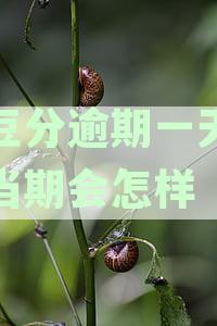 芸豆分逾期后还款能力评估及相关借款渠道推荐