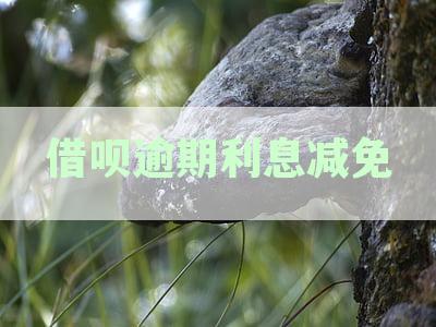 关于借呗逾期利息减免问题，全面解答及解决用户疑惑