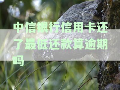 中信银行最低还款额还款后，是否还需要继续还款？如何处理未还清的部分？