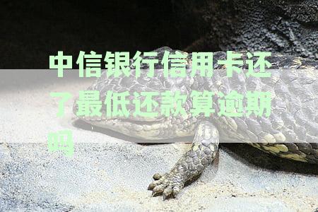 中信银行最低还款还了就没事了吧？怎么办？