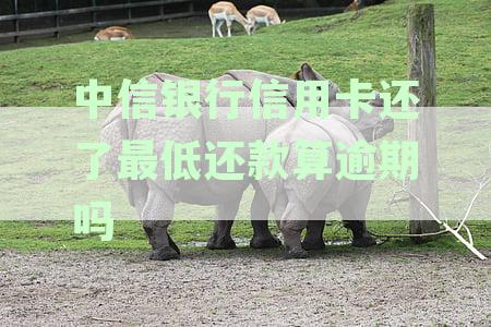 中信银行信用卡还了最低还款算逾期吗