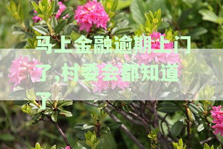 融逾期：消费者担忧催收上门的风险