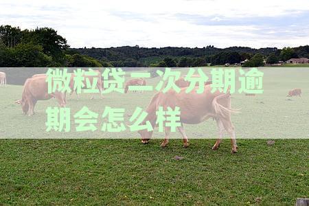 微粒贷二次分期逾期的影响及应对措：全面解析与建议