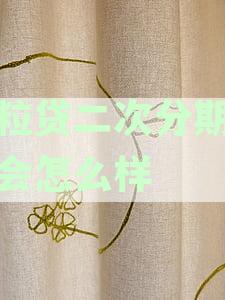 微粒贷二次分期申请攻略：轻松解决逾期还款问题