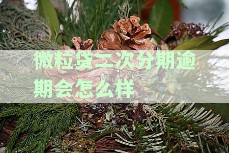 微粒贷二次贷不还有什么后果：详细解答与影响