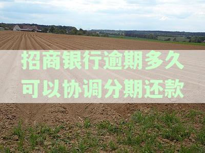 招商银行逾期后如何协调分期还款？最全解答！