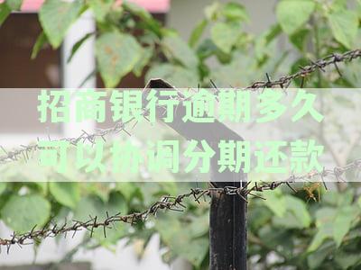 招商银行信用卡逾期还款协商期限及分期方案解读
