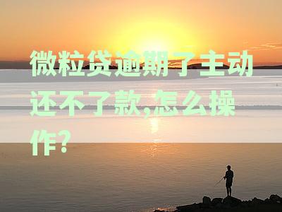 微粒贷逾期还款受限：用户是否会面临起诉风险及应对策略