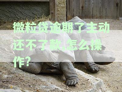微粒贷逾期暂时无力偿还会怎样处理：2020新规定与可能的起诉