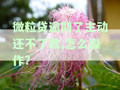 微粒贷逾期还款全攻略：如何制定还款计划、协商期以及相关法律责任解析