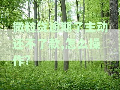 微粒贷逾期了主动还不了款,怎么操作?