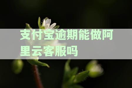 支付宝逾期问题解决：阿里云客服是否可行及安全性探讨